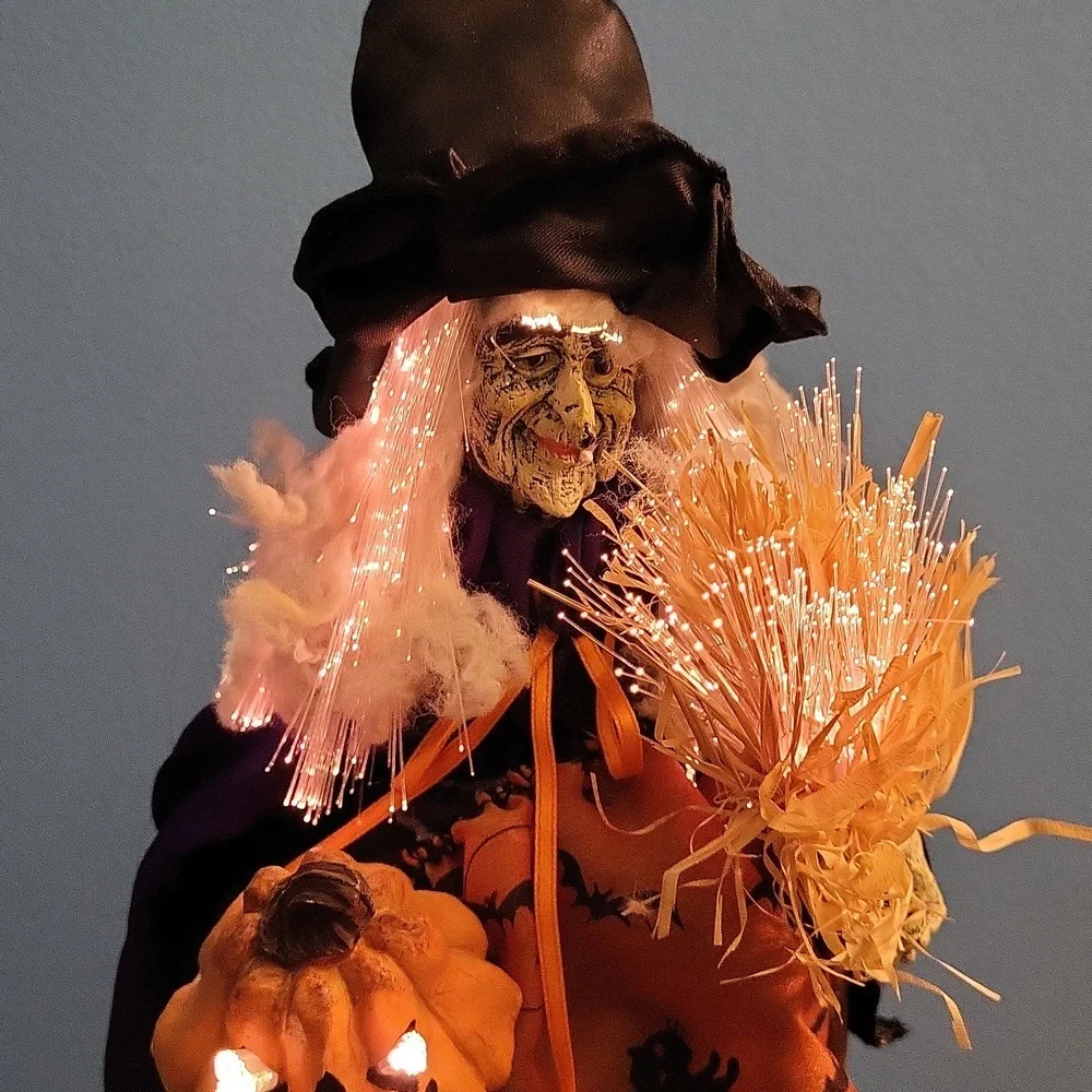 Fiber optic light up Witch Halloween decor